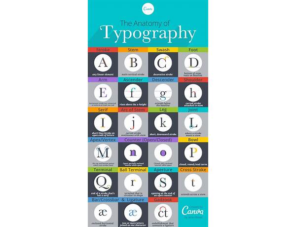 50+ Typography Terms: Glossary of Typographic Terms